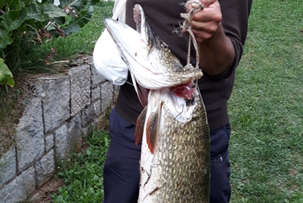 Aktivnosti-Image