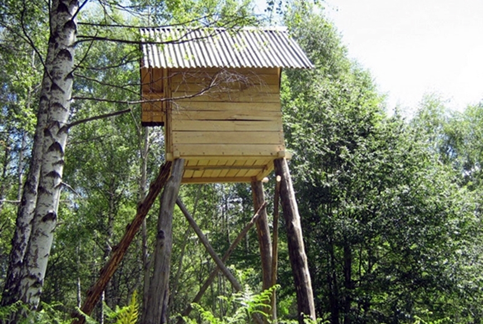 Aktivnosti-Image