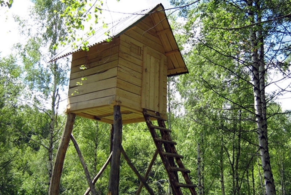 Aktivnosti-Image
