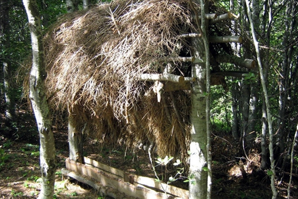 Aktivnosti-Image