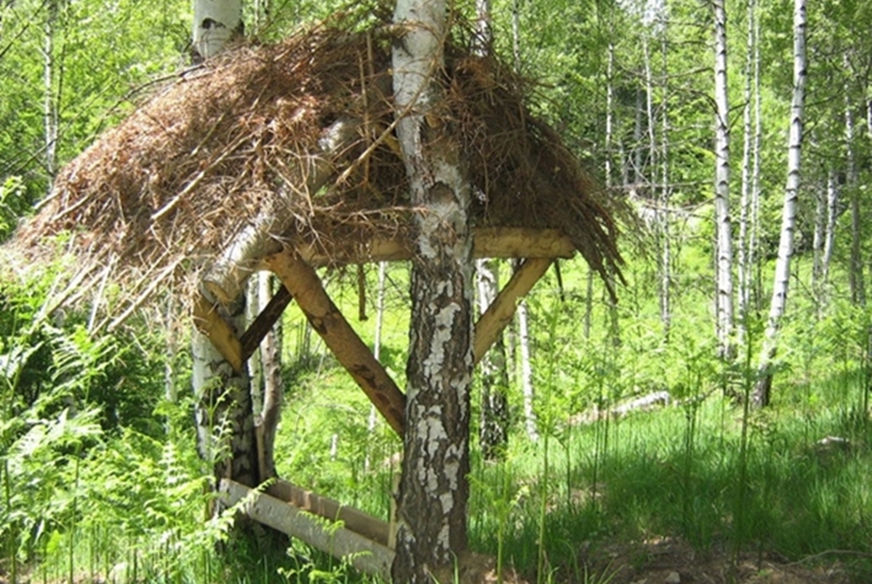 Aktivnosti-Image