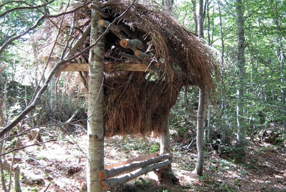 Aktivnosti-Image