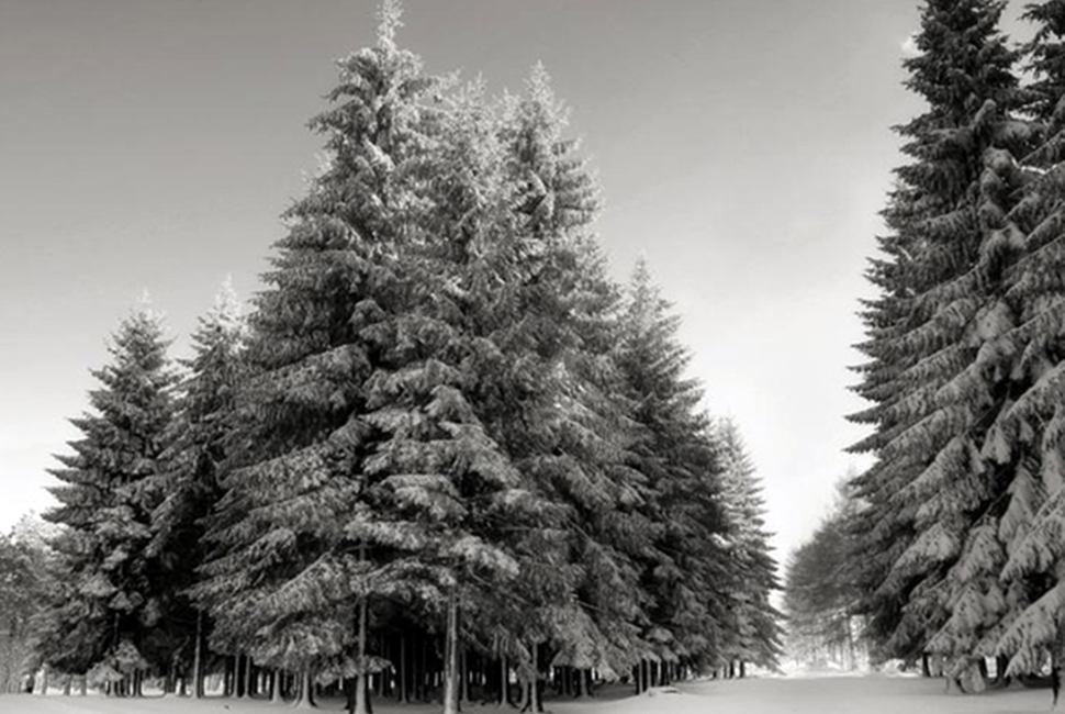 Vlasina-Image