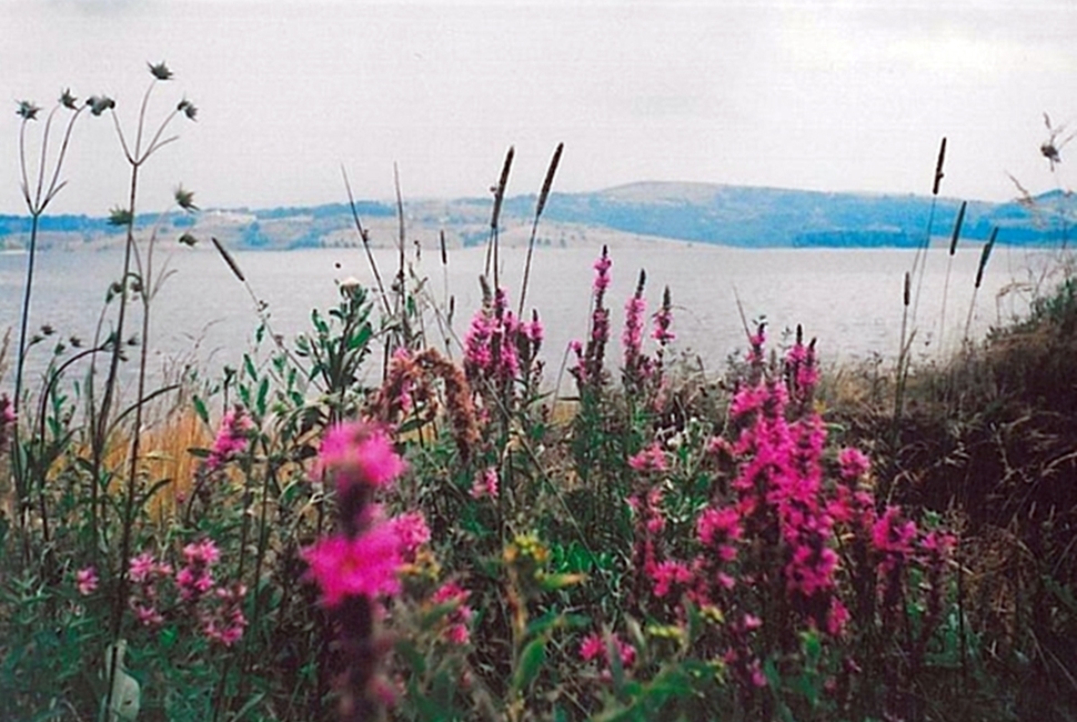 Vlasina-Image