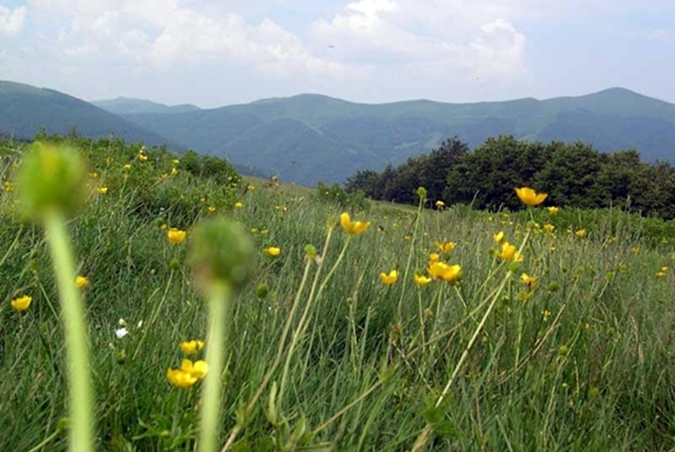 Vlasina-Image